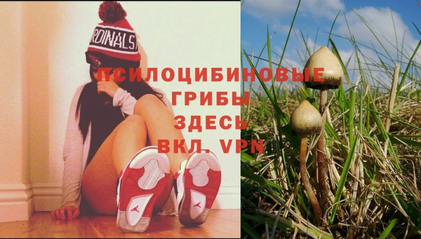 МДМА Алексин