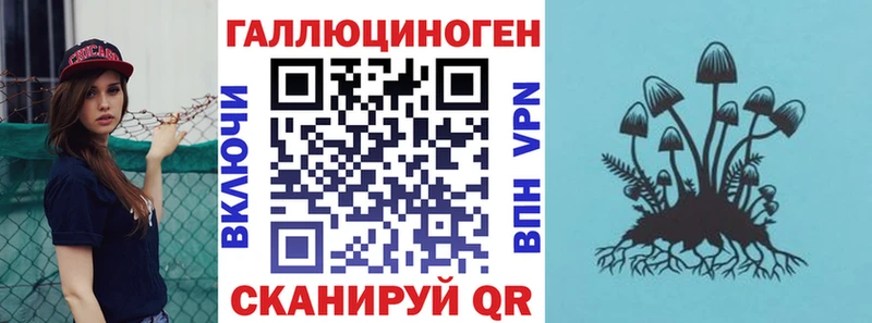 Галлюциногенные грибы GOLDEN TEACHER  магазин  наркотиков  Чадан 